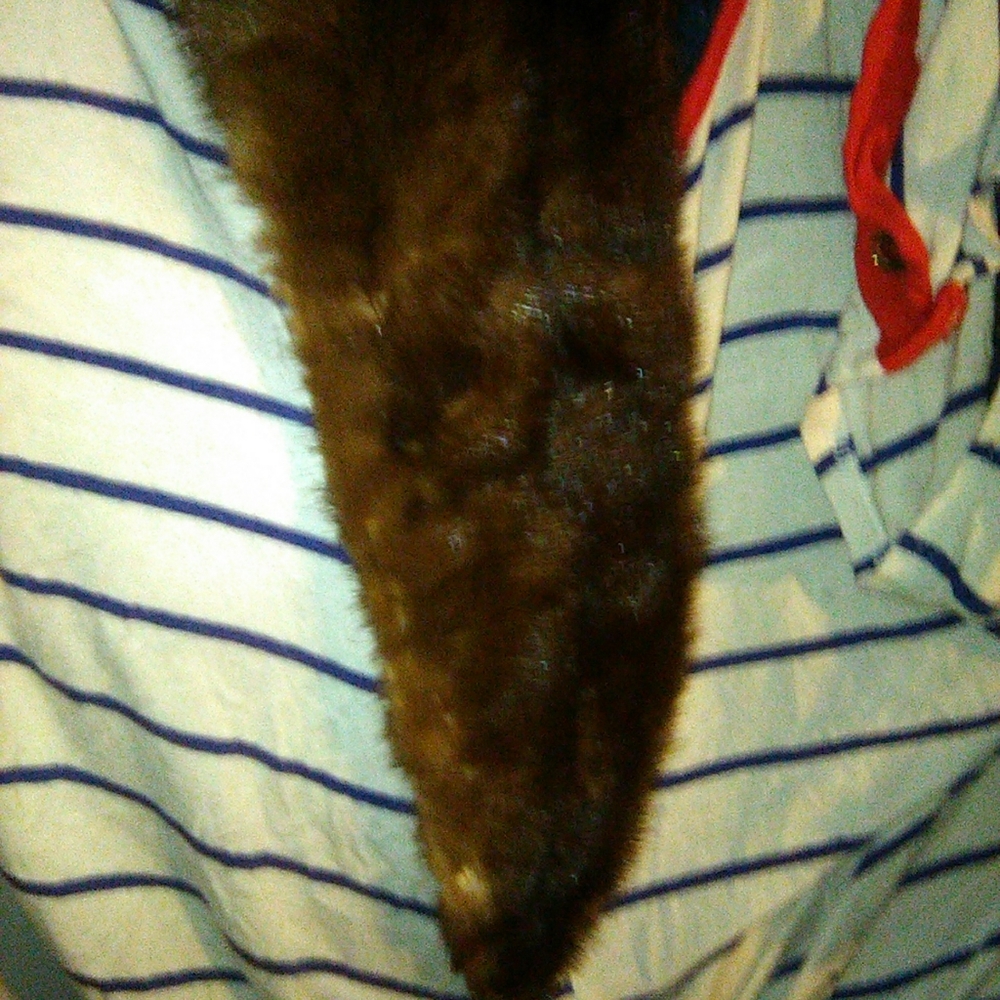 Mink fur collar